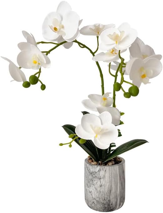 Fake Orchids in Pot, Bendable  - Home Bathroom Images ulasan dan harga
