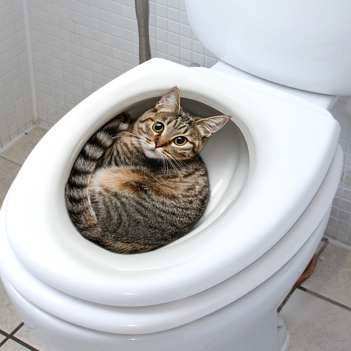 3D Funny Cat Toilet Sticker Ba - Home Center Bathroom Accessories ulasan dan harga